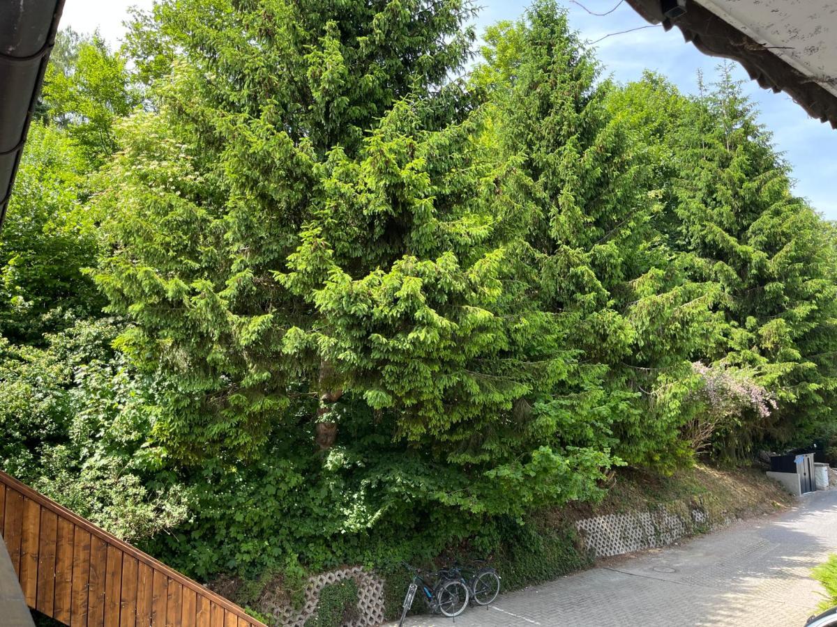 Gaestehaus Forggensee *